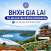BHXH Gia Lai 2026: 19 cơ sở, địa chỉ & tài khoản thu